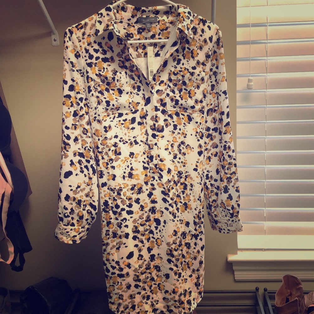 The Limited Dress